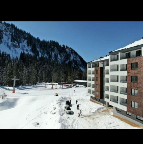 Apartman Winter magic Snježna dolina